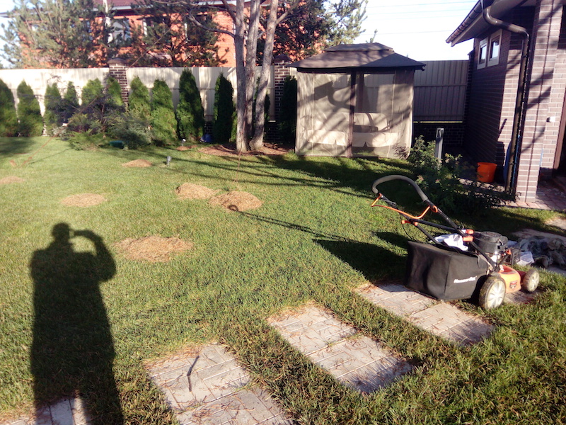 Обслуживание территории