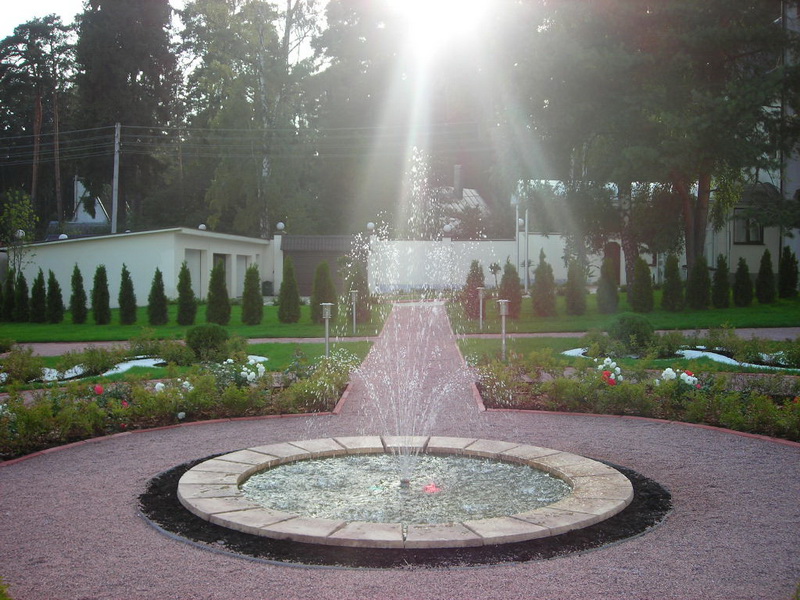 Обрезка плодовых деревьев